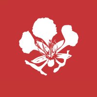 The Flamboyant Agency (@tfacaribbean) 's Twitter Profile