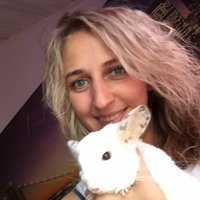 Darlene (@f_darlene65) 's Twitter Profile