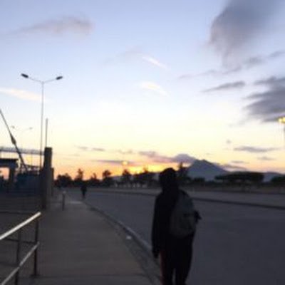 wissemDridi555's profile picture.