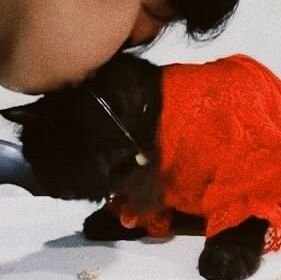 jeonseul__'s profile picture. I MET METAWIN 2/3/24 😭😭😭😭😭