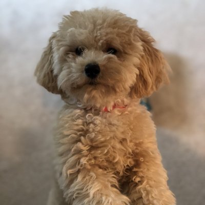 Partnership/PR manager XBANKING @strongbuycrypto.
Our links: https://t.co/qP2SKdPvl0
Telegram: https://t.co/5k0AZlSbpE