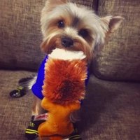Jessica (@j_weitkamp85) 's Twitter Profile