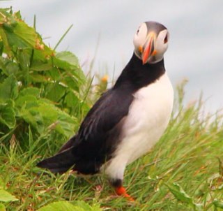 KeenaHudson's profile picture. 