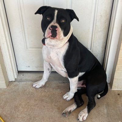 Hoxbar's profile picture. 