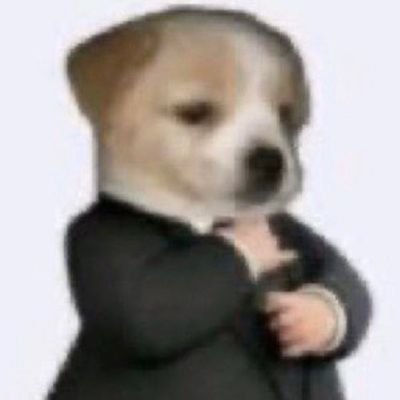 gooddog0nline's profile picture. just a  nnormal guy online