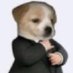 собачкаpilled🐶🦴💕 (@gooddog0nline) Twitter profile photo собачкаpilled🐶🦴💕 (@gooddog0nline) Twitter profile photo