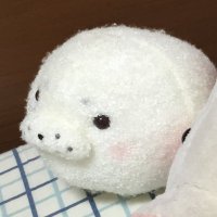 non@交換用 (@nnswayn) 's Twitter Profile Photo non@交換用 (@nnswayn) 's Twitter Profile Photo