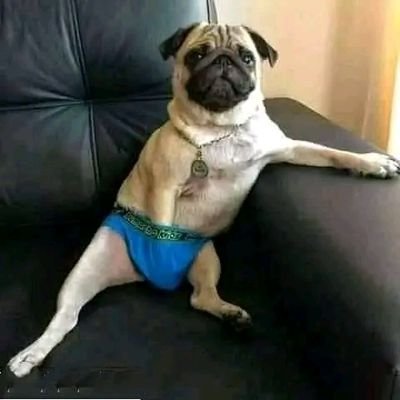 @modiji3_0