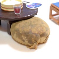 pampermoony (@pampermoony) 's Twitter Profile