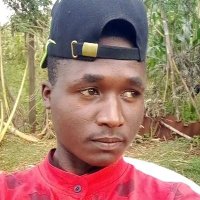 Julvest (@julvestke) 's Twitter Profile