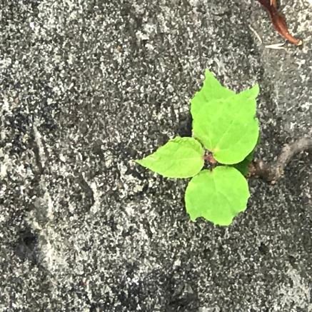 fufCF8ncBt8504's profile picture. 一人
今日もどこかのコミュニティにいます