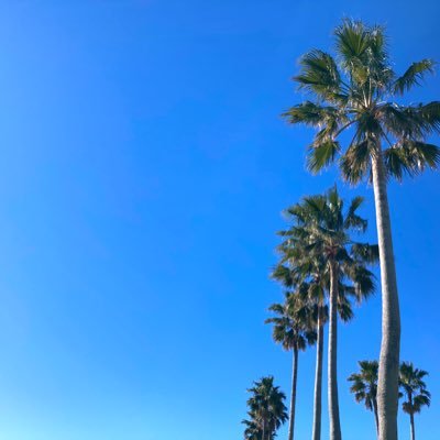 kwtn31's profile picture. 2.5次元に嵌りました。成人済。神永さんと岩城くんと橋本くん推し。spiちゃんも好き。