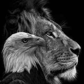 gowshick_gk's profile picture. 💥|23|
💥தீதும் நன்றும் பிறர் தர வாரா
💥Dream, Believe,Dare,Do🖤