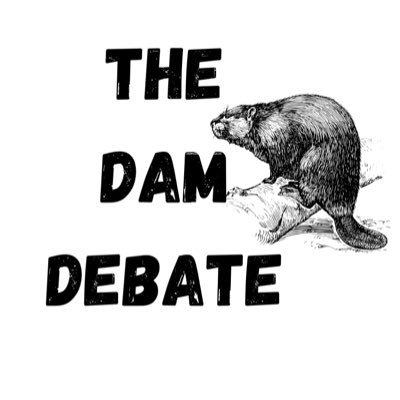 TheDamDebate Profile Picture