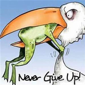 DavidHa39279635's profile picture. Catholic. Sedevacantist. 2 Thessalonians 2: 9-12. The 🌎 has gone 🤪. 🙏