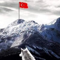 Muhammed Nurullah Durak(@slientking2516) 's Twitter Profile Photo