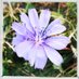Assay: A Journal of Nonfiction Studies (@assayjournal) Twitter profile photo Assay: A Journal of Nonfiction Studies (@assayjournal) Twitter profile photo