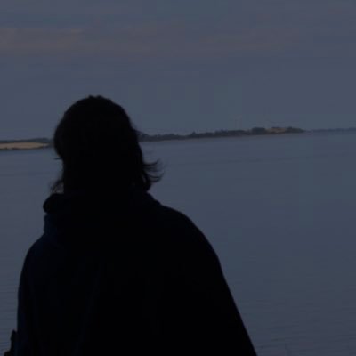 nihil sub sole novum | hoe for poetry | großschwanz-twitter-userin
