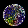 ericakoen1's profile picture. UFOs Experiencer Consciousness Nature of Reality Lucid Dreaming OBE Orb Phenomenon Remote Viewing Energy Healing,  Astronomy Space