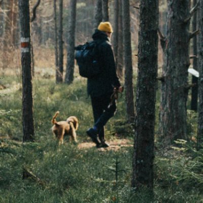 not_microphone's profile picture. Legend says that I play pbs

cr ign crazyv2