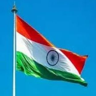 uk48373820's profile picture. 