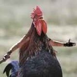 EddyEd312's profile picture. 30.