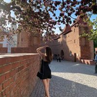Shouseti (@shouseti2953) 's Twitter Profile