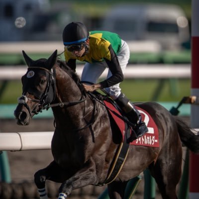 エターナルゾーン、競馬、ドラクエ10がマイブームです。