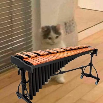 _nnfd_'s profile picture. shshshshshs