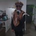 Mlungisi Dlamini (@mdlamini) Twitter profile photo Mlungisi Dlamini (@mdlamini) Twitter profile photo