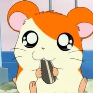 spongegrass's profile picture. media lover and wall talker