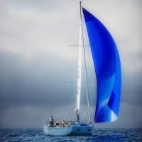 diver sar (@diversard01) 's Twitter Profile
