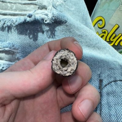 TerpSmoker's profile picture. Just love to smoke🔥😶‍🌫️