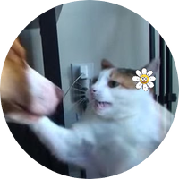 im (@wonthemao2) 's Twitter Profile