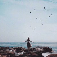 Shosleesh (@shosleesh61576) 's Twitter Profile