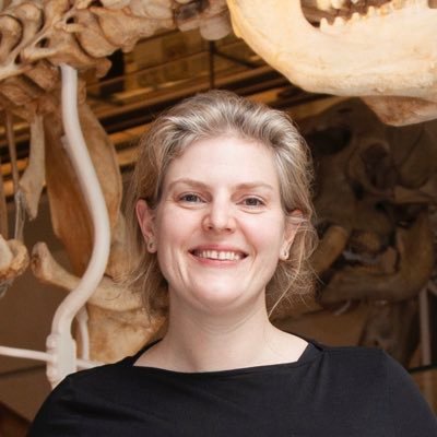 Deep-time Ecologist and Palaeontologist. NERC Research Fellow & Asst. Prof @CamZoology & Invertebrate Curator @ZoologyMuseum PI: @DeepTimeEcology She/Her