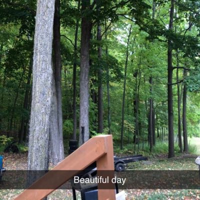 kingCatonsnow's profile picture. The king