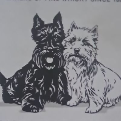 src_mcs's profile picture. Tech