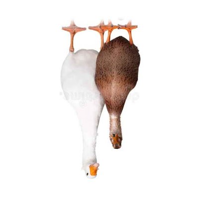 Mxl4goose's profile picture. 