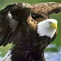 EMİRHAN ÖZENİR (@muslum_g34783) 's Twitter Profile