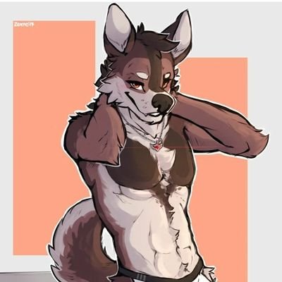 Wolf 🐯 Gay / 28