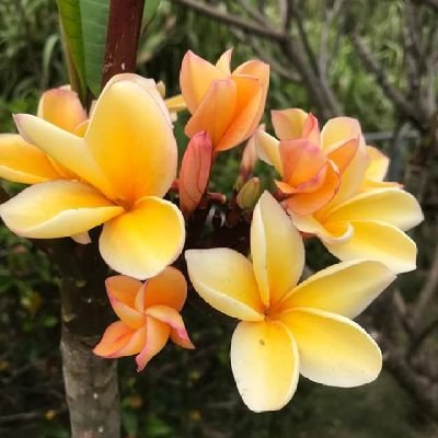 ABee_998's profile picture. 