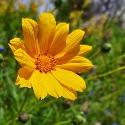 alejandra_lugo8's profile picture. 