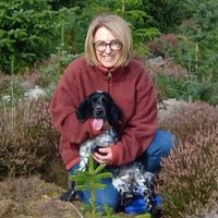 Gaynor Andrews (@gooseygandering) 's Twitter Profile Photo Gaynor Andrews (@gooseygandering) 's Twitter Profile Photo