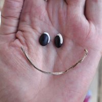 Ramona (@ramona_bio) 's Twitter Profile