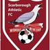 Scarborough Ath Fan (@seadogupdate) Twitter profile photo