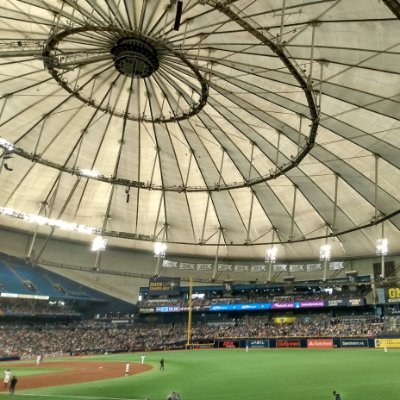 ccaaarchive's profile picture. chase, he/him, 20 years of being a #RaysUp fan