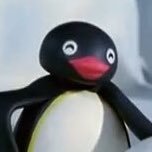 ♡ pingu enthusiast ♡ 🐧