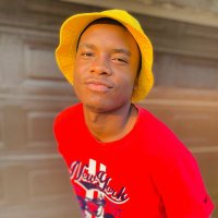 S'busiso Ndlovu🏳️🌈 (@ndlovu_ss21) 's Twitter Profile