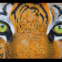 Battle Ground Baseball Club (@bg_baseballclub) 's Twitter Profile